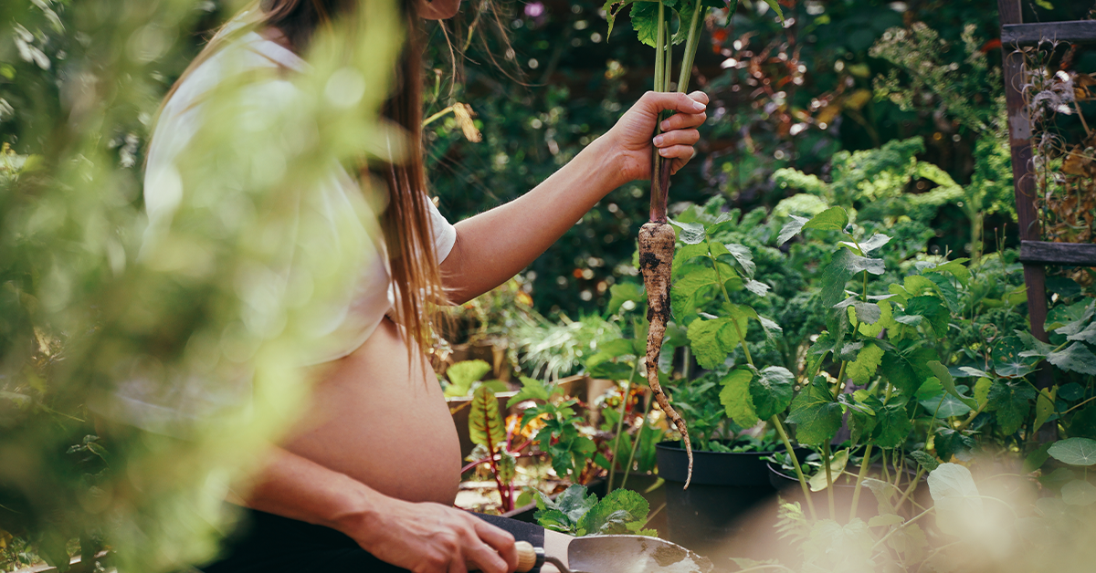 Dacthal Pesticide Lawsuit for DCPA Exposure During Pregnancy - Levin Law