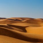 NAS Pensacola terrorism lawsuit