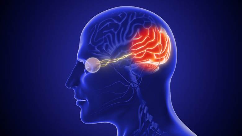 naion glp-1 NAION: New MDL for Ozempic and Other GLP-1 Drugs Linked to Vision Loss